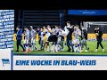 HaHoHe - Eine Woche in Blau-Weiß | 32. Spieltag | Hertha BSC vs. Arminia Bielefeld