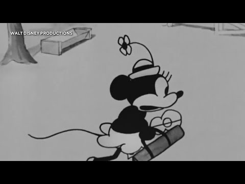 Mickey Mouse enters the public domain