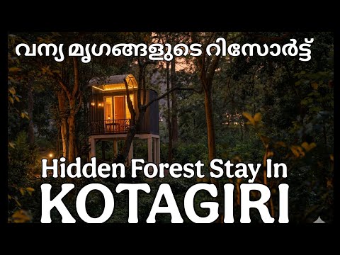 Unexplored Place in Kotagiri | Adventure Forest Stay | Resort Surrounded by Wild Animals
