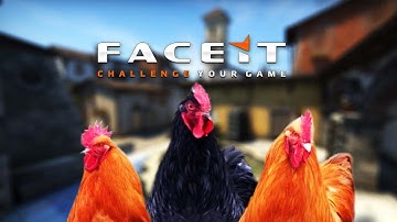 Petushinaya staya s FACEIT