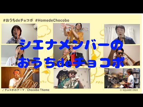 《Siena Tube》おうち de チョコボ
