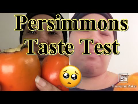 Persimmons Taste Test | Eating Persimmons