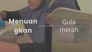 Praktikum Biokimia Pembuatan Eco Enzyme