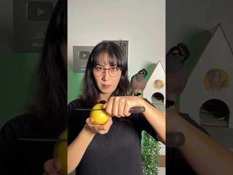 سیب /apple 🍏🥕. #چالش #مخمل #apple #challenge #shorts #birds