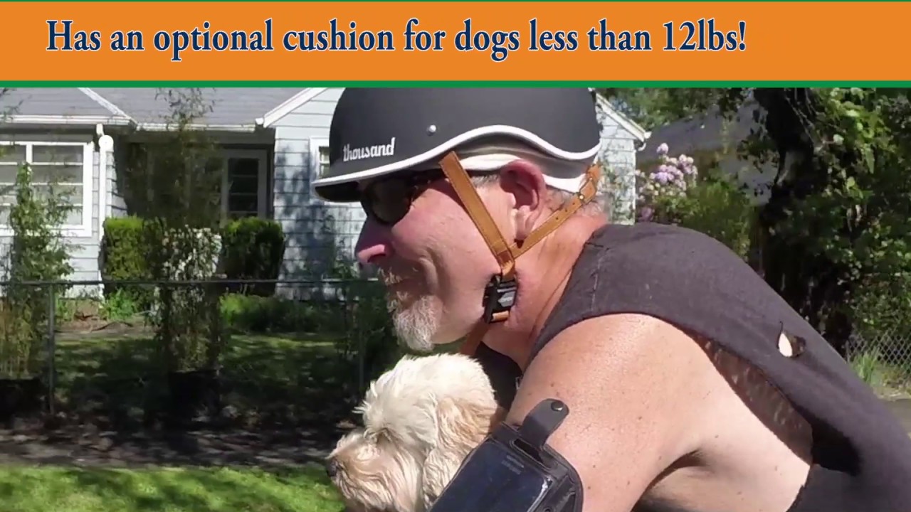 electric bike dog carrier