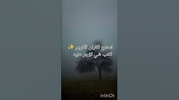 استمع للقران الكريم+اكتب شي تؤجر عليه لا تنسوا الصلاة على نبينا محمد صلى الله عليه وسلم