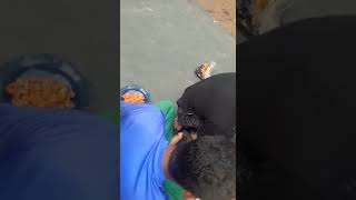 Ngeliwet Bareng Kawan Kawan Perguruan Silat Jalak Putih Gombel Pasca Latihan