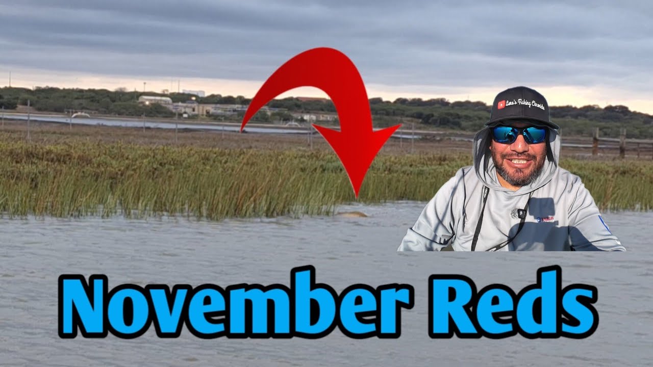 Ноябрьский окунь #рыбалканакаяках