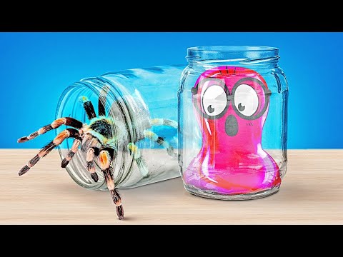 Video Cách Làm Nhà Hay Ho Cho Kiến, Chuột, Rùa, Nhện, Ốc Sên... - youtube
