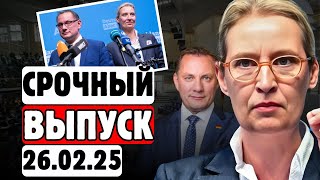 : 2  !   AfD!     !
