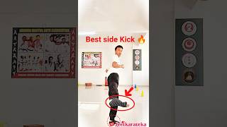 side kick#shortvideo #martialarts #training #selfdefense #tutorial #shorts #india #indonesia #sports