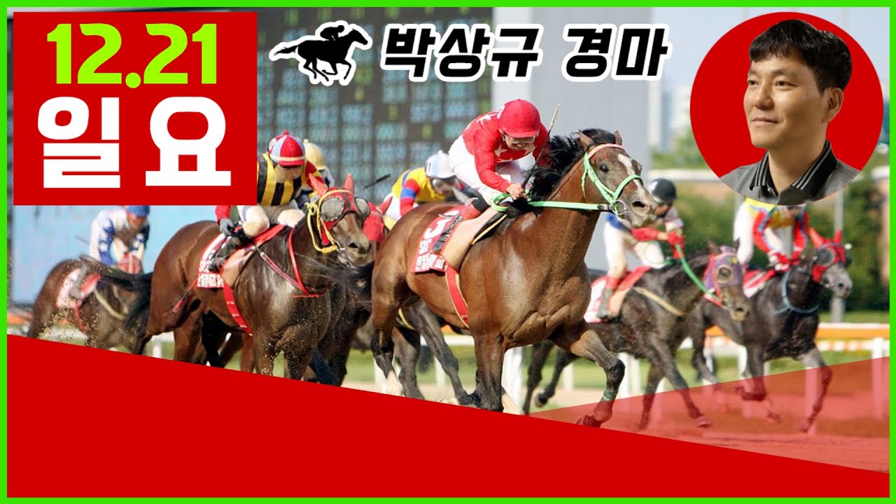 12월21일 일요 경마, 방송 보신분들 모두 좋은 결과 있기를 기원합니다.