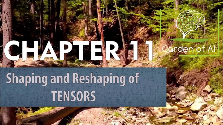 Chapter11  Shaping and Reshaping of TENSORS | TensorFlow TUTORIALS | WITH CODE