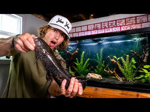 Adding a RIVER MONSTER with my PET BASS