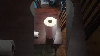 insane double paper towels flip #papertowels #papertowel #magic #towel