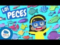Conociendo a los Peces y su Entorno
