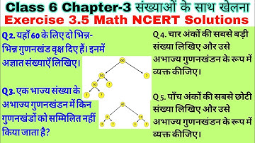 Class 6 Ex 3.5 Q 2 to Q 5|संख्याओ के साथ खेलना|Chapter 3|Exercise 3.5 |math in Hindi |NCERT Solution