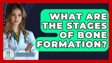 What Are The Stages Of Bone Formation? - Orthopedic Support Network