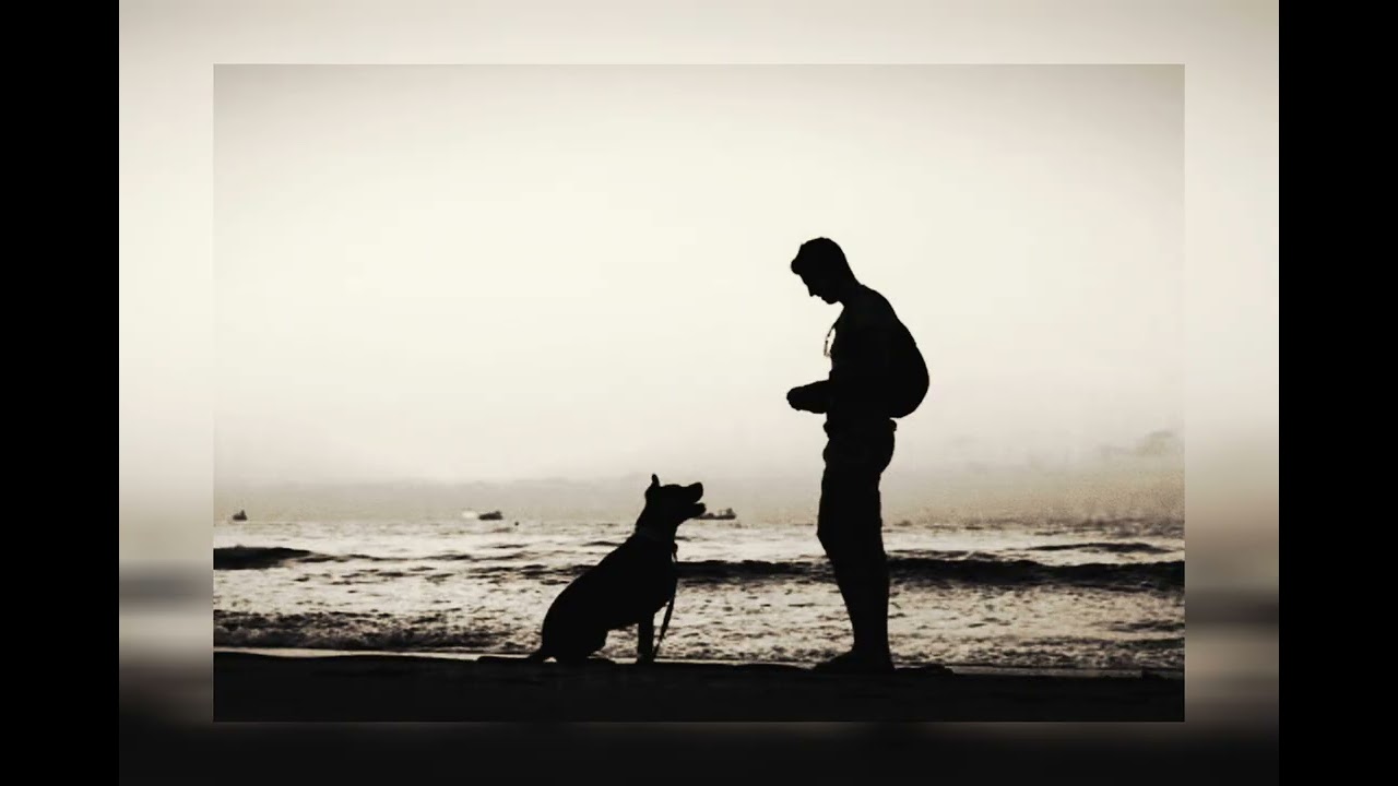 MODERN POETRY ( ABSTRACT ART ) LYRICS AND VOICE DR MOHD RAFI 