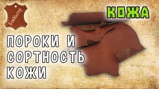 Пороки и сортность кожи. Defects and grades of the leather