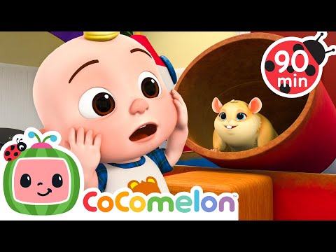 Jellybean's Amazing Maze Race! | CoComelon | Sing Along | Learn about Animals