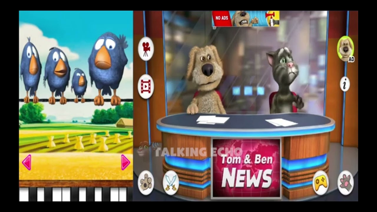 Talking echo talking birds on wire vs talking tom and ben news