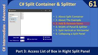 Celebrity C# SplitContainer and Splitter | Part 3 Access Control on Panels | C# Advanced #61 Net Worth