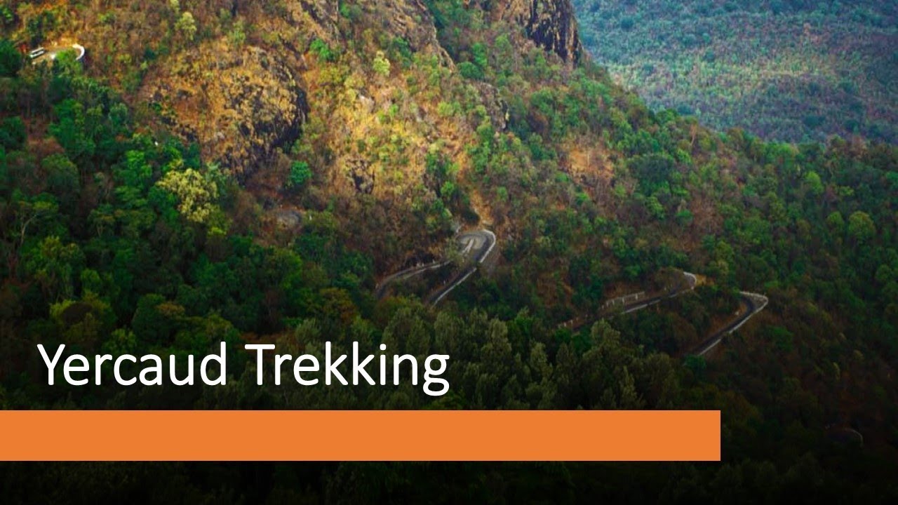 Yercaud Sunrise Trek to Hidden Peak — 4K Views!  Hidden Trails 