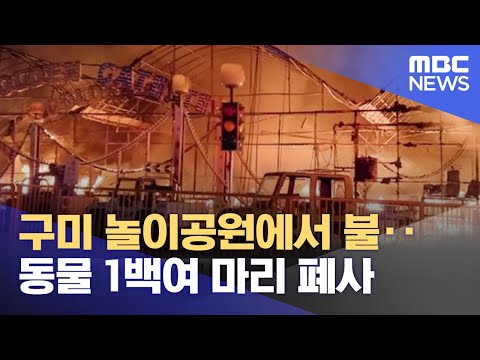 구미 놀이공원에서 불‥동물 1백여 마리 폐사 (2023.01.19/뉴스투데이/MBC)