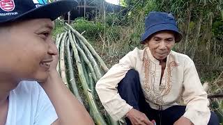 Setelah 7th Longsor Hanya Satu Rumah Yang Bertahanpasir Gunung Seureueh