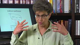 20.9 Deep Brain Stimulation