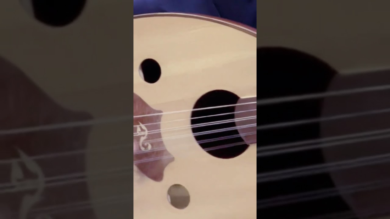 ياعم منصور يامروح البلد ادا الفنان الكبير كمال اليافعي 