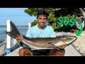 People Spend THOUSANDS to Catch THIS Fish! Catch n&#39; Cook in the Florida Keys