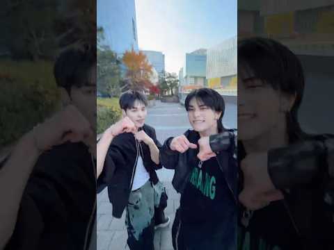 StrayKids StrayKids 현진 선배님과 Thumpa Thumpa Thump HARU