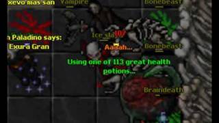 Famous Tibia Calmera Braindeaths Ice slaya Net Worth