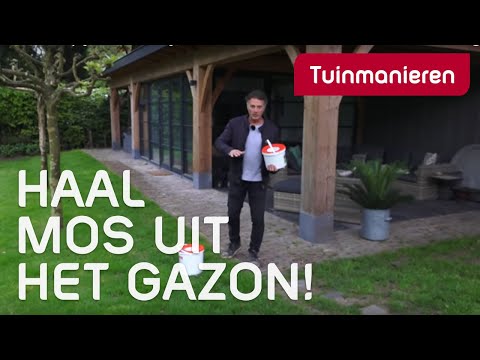 Mos en onkruid in je gazon? Gazonvoeding | Tuinmanieren