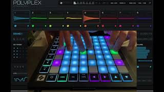 Polyplex by Twisted Tools EXPERIMENTAL DRUM DESIGN works with Free REAKTOR PLAYER