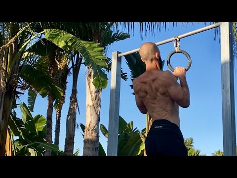 REP RED: Program Breakdown thumbnail