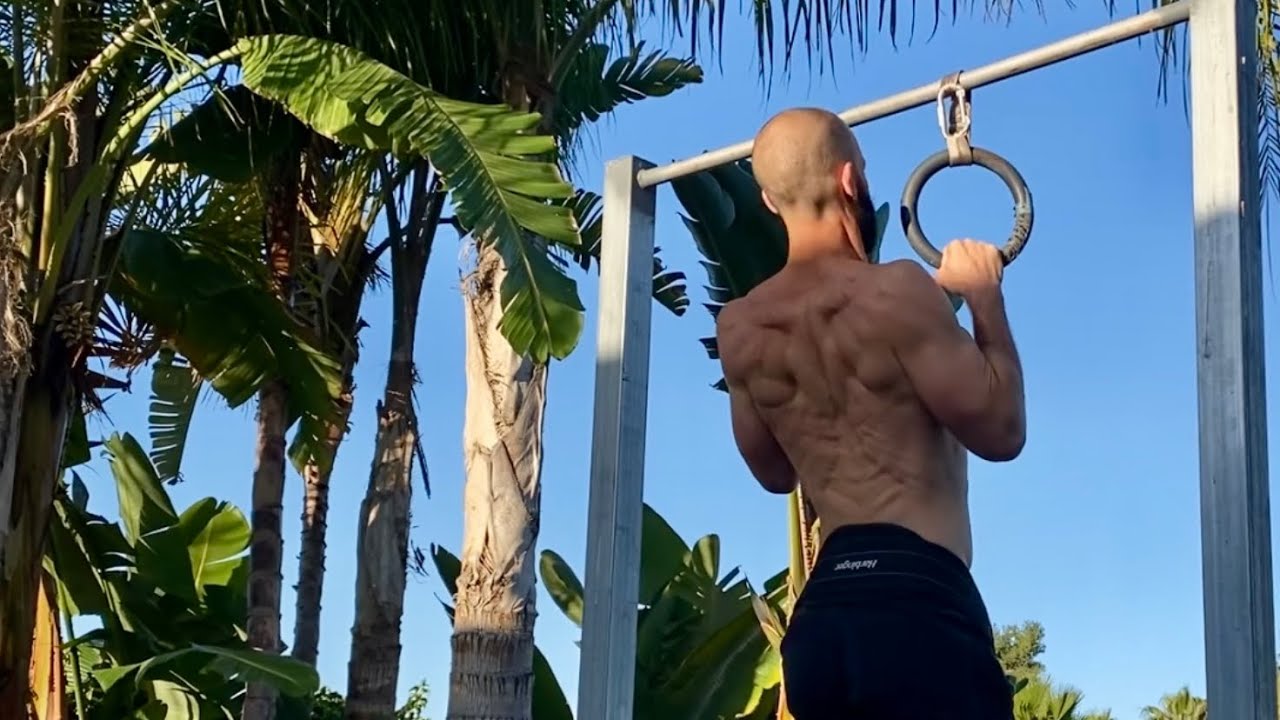 REP RED: Program Breakdown