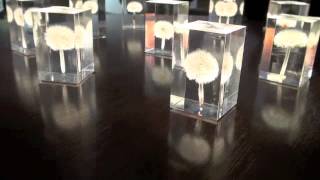 アクリルランプ/ たんぽぽ, GLASS LAMP｜EL Techno Inc. - YouTube