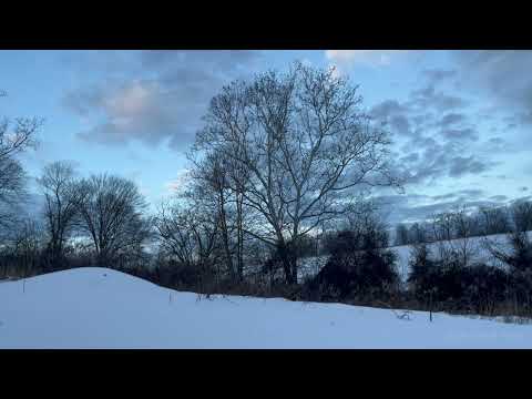 Morning Twilight Moves Over Snowy Forest [4K] — EVOLVING LANDSCAPES #4