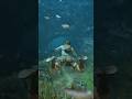 New Tomb Raider Game Looks Insane #tombraider