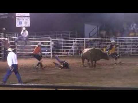 Cale Lang Bull Riding Series