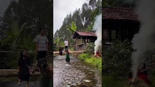 Bathing In The Clear River On The Edge Of The Forest cozyhome