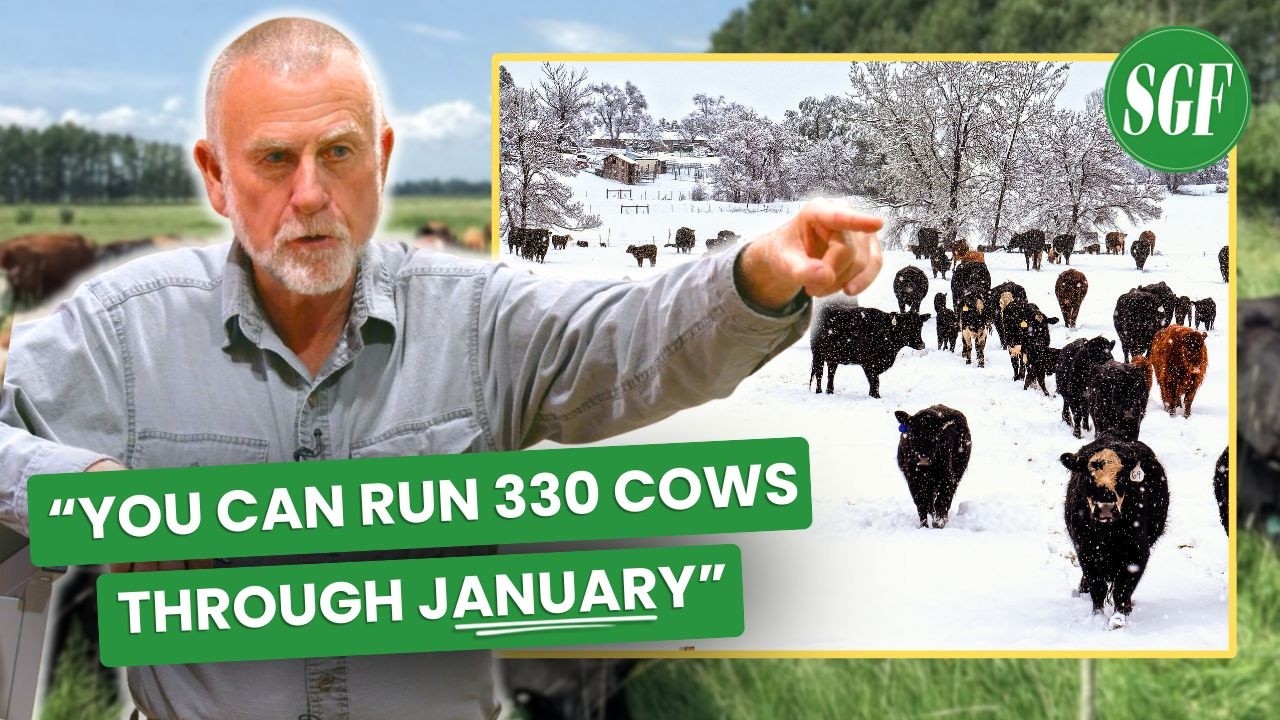 Эксперт по выпасу скота: «Зимний выпас вполне возможен!» - Джим Герриш
