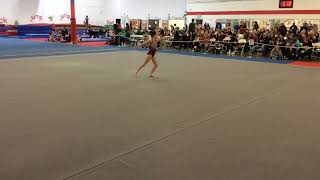 Adelynn Elevate Gym Fest 2023 Content