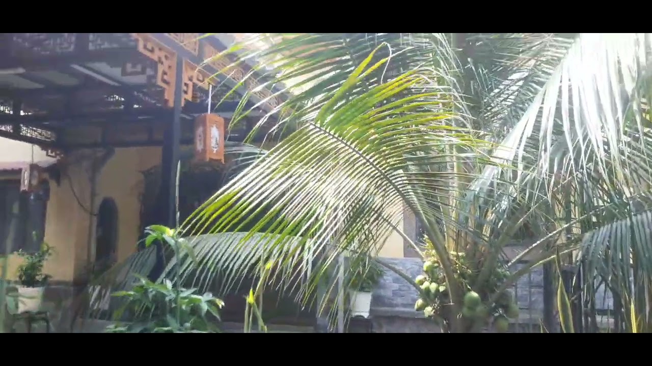 Chùa  thiên  an  2 # bình dương tết 