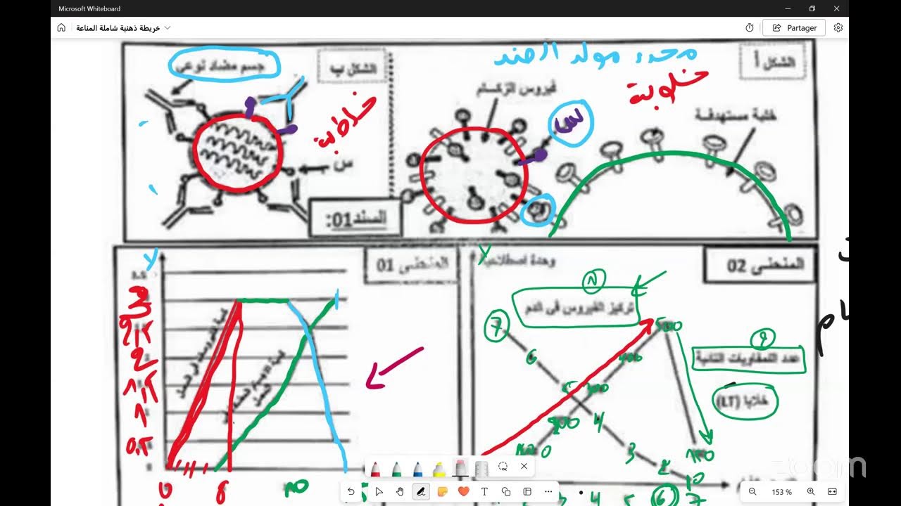 بيام 2025 المراجعة النهائية للعلوم