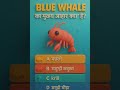 Blue Whale favourite food #trending #facts #ytshorts #gkquiz #trendingshorts #viralvideo #shorts