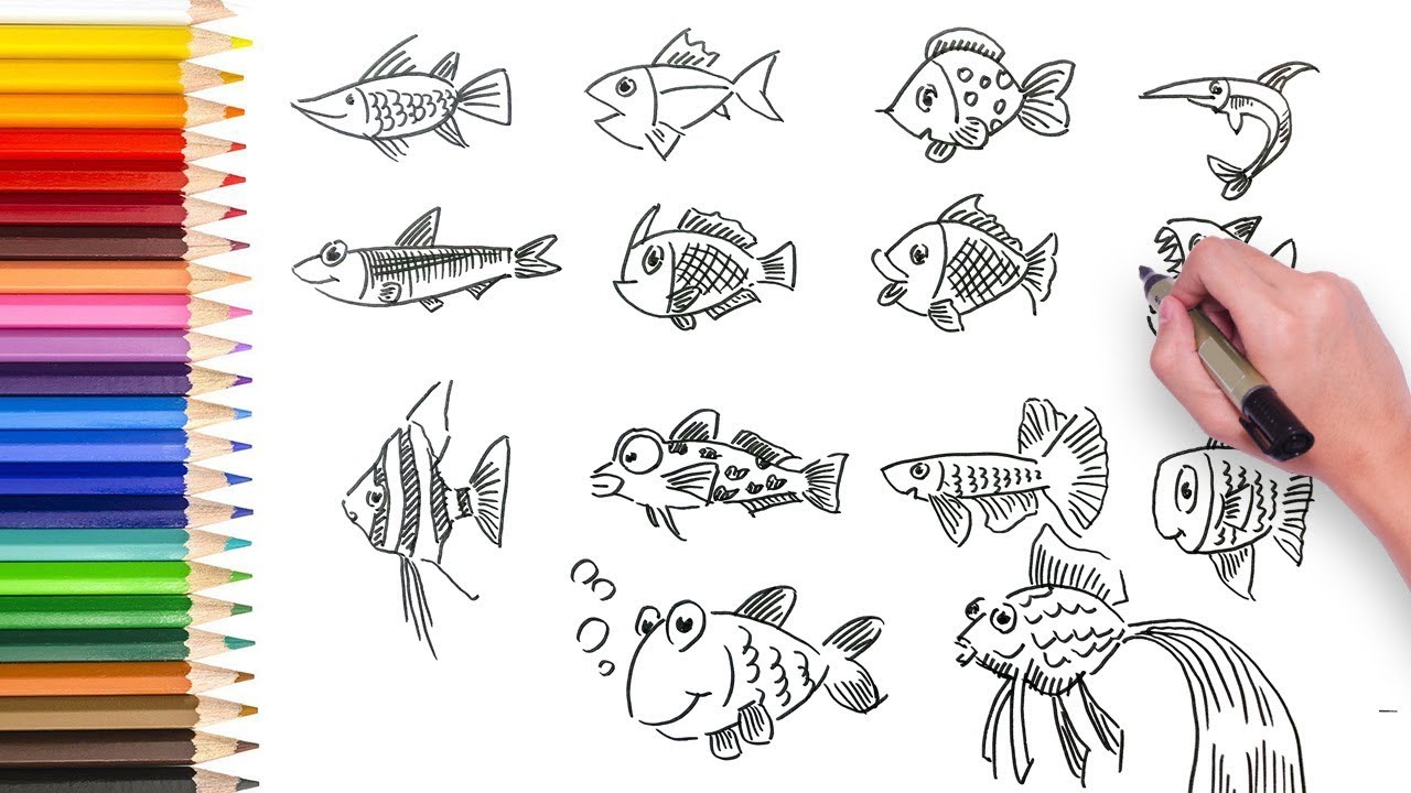 14 Simple Fish Drawing Ideas